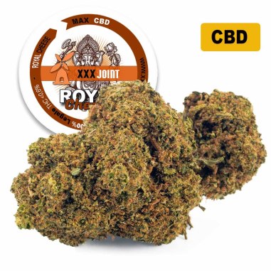 ROYAL CHEESE® CBD 30%